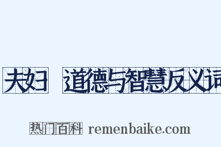 夫妇·道德与智慧反义词是什么意思的图片